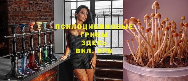 шишки Абдулино