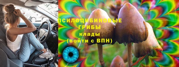 шишки Абдулино