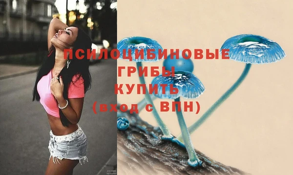 прущие крисы Абаза